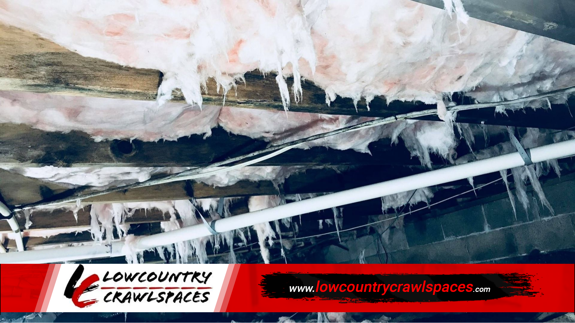 Crawl Space Mold Removal in Charleston, SC
