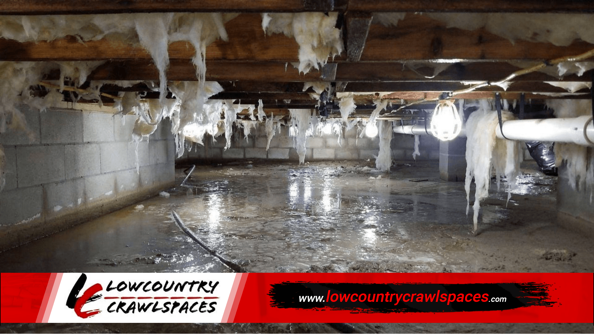 Crawl Space Water Removal in Charleston, SC