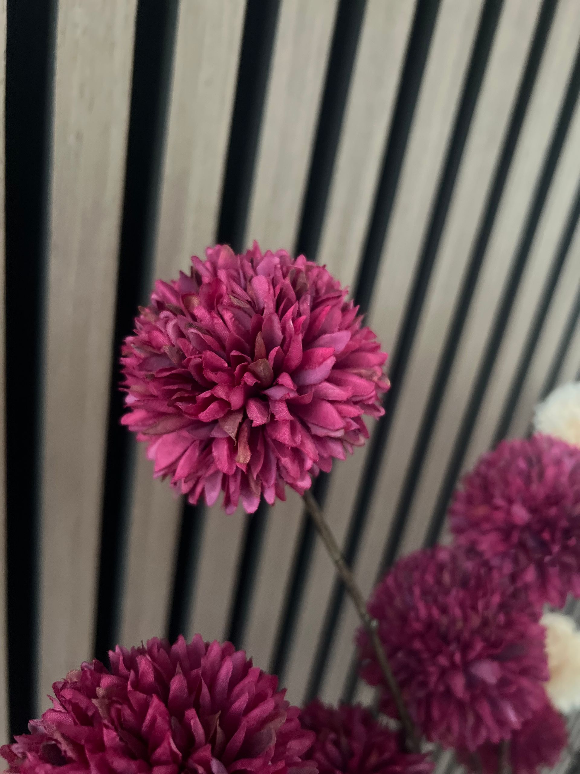 Pompom - Bordeaux UITVERKOCHT