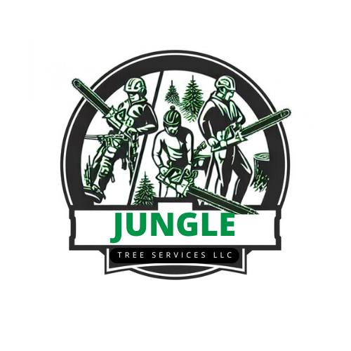 Logo of Django Tree Services: Arborists with chainsaws, green logo text on white box, dark background.