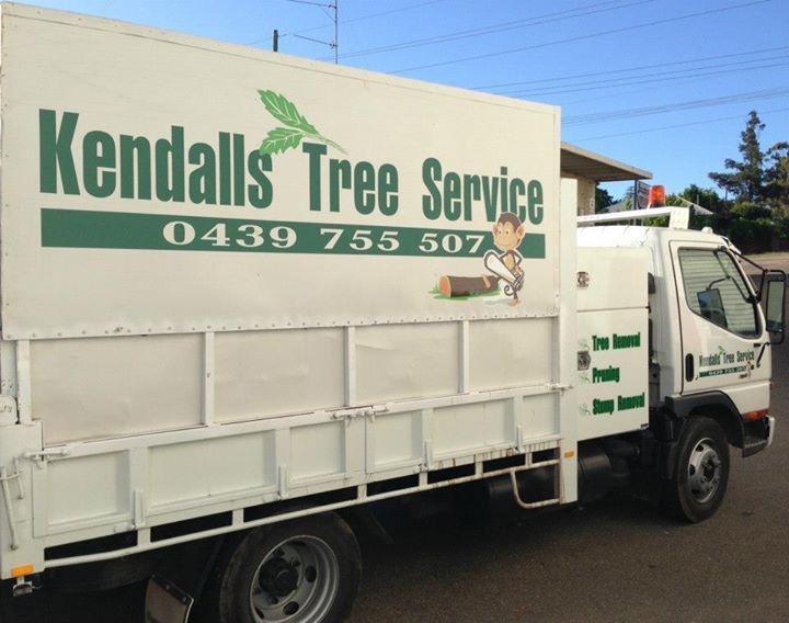 Tree Lopping in Wagga Wagga Kendall's Tree Service