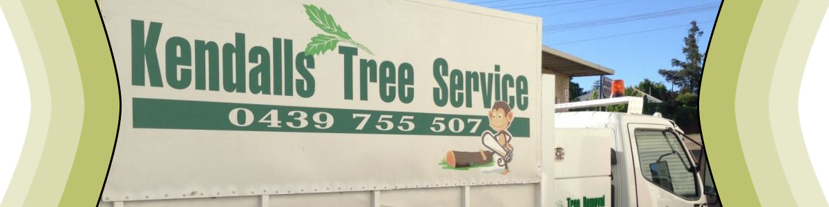 kendells tree service awareness