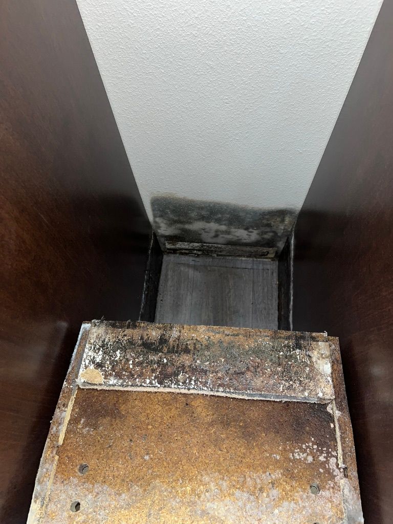 Mold Removal — Ocala, FL — All Dry Services