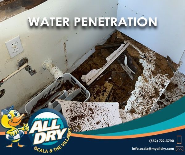 Water Penetration — Ocala, FL — All Dry Services