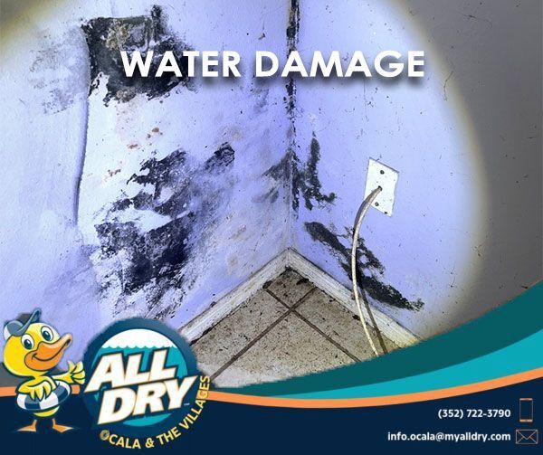 Home Water Damage — Ocala, FL — All Dry Services