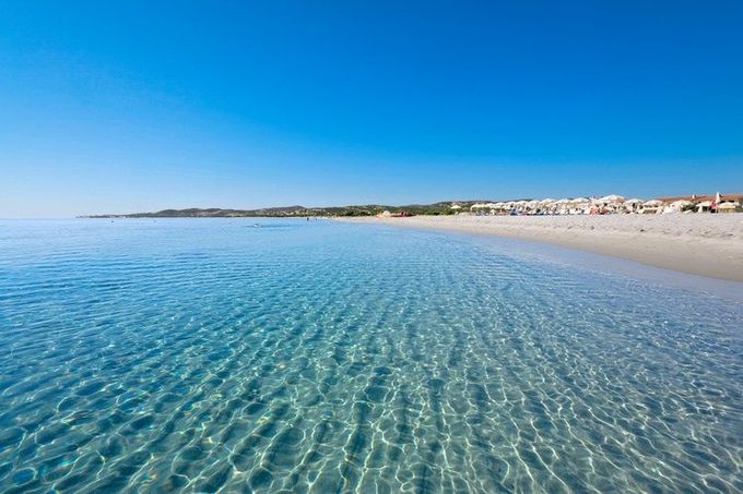 mare
