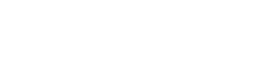 Blue Crocus Solutions logo