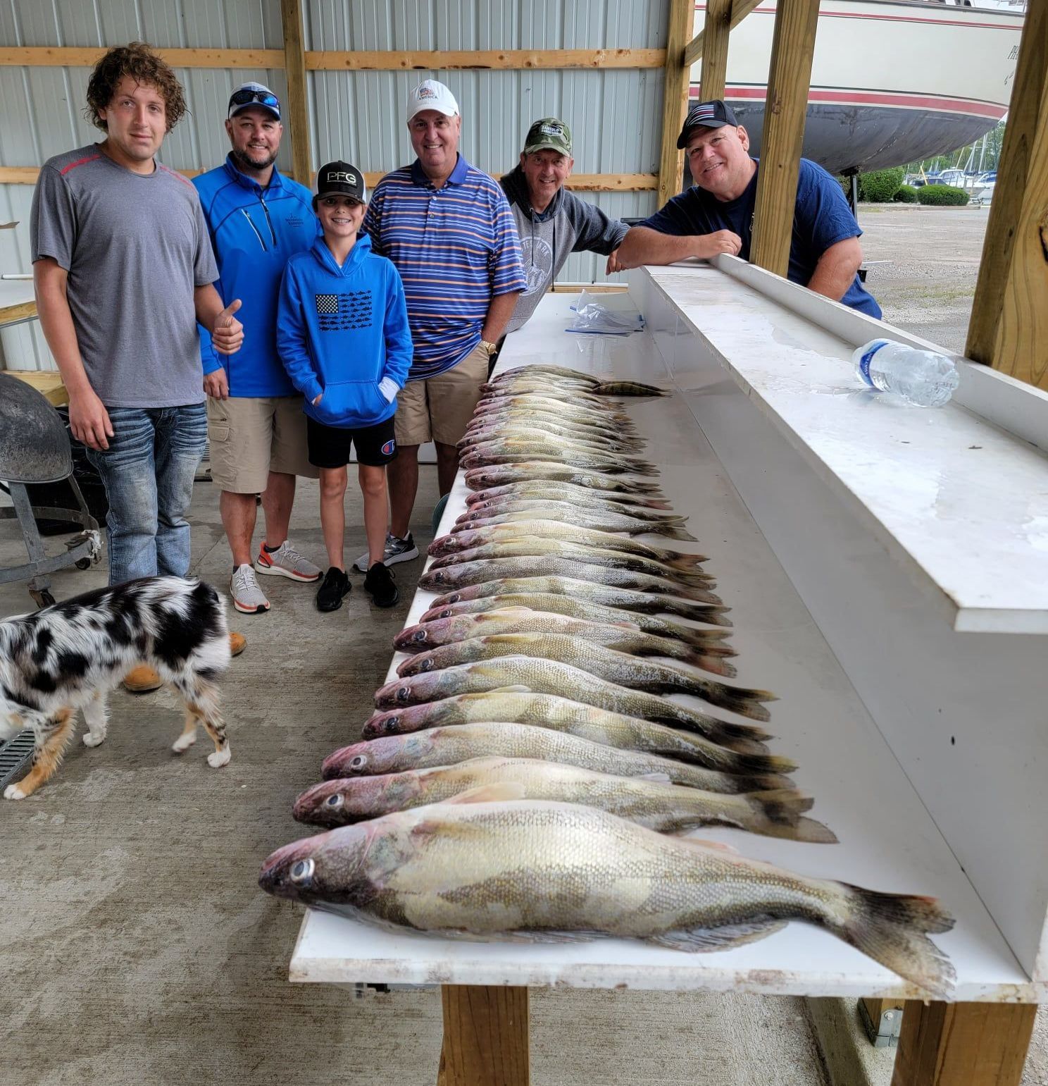 walleye guide Lake Erie