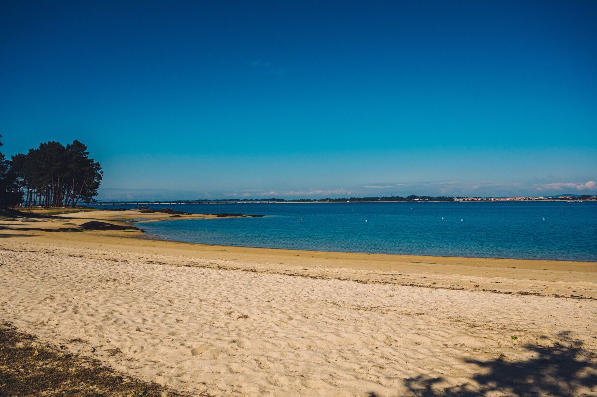 Sandy beach along a calm blue bay under a clear sky, with a cluster of trees on the left.