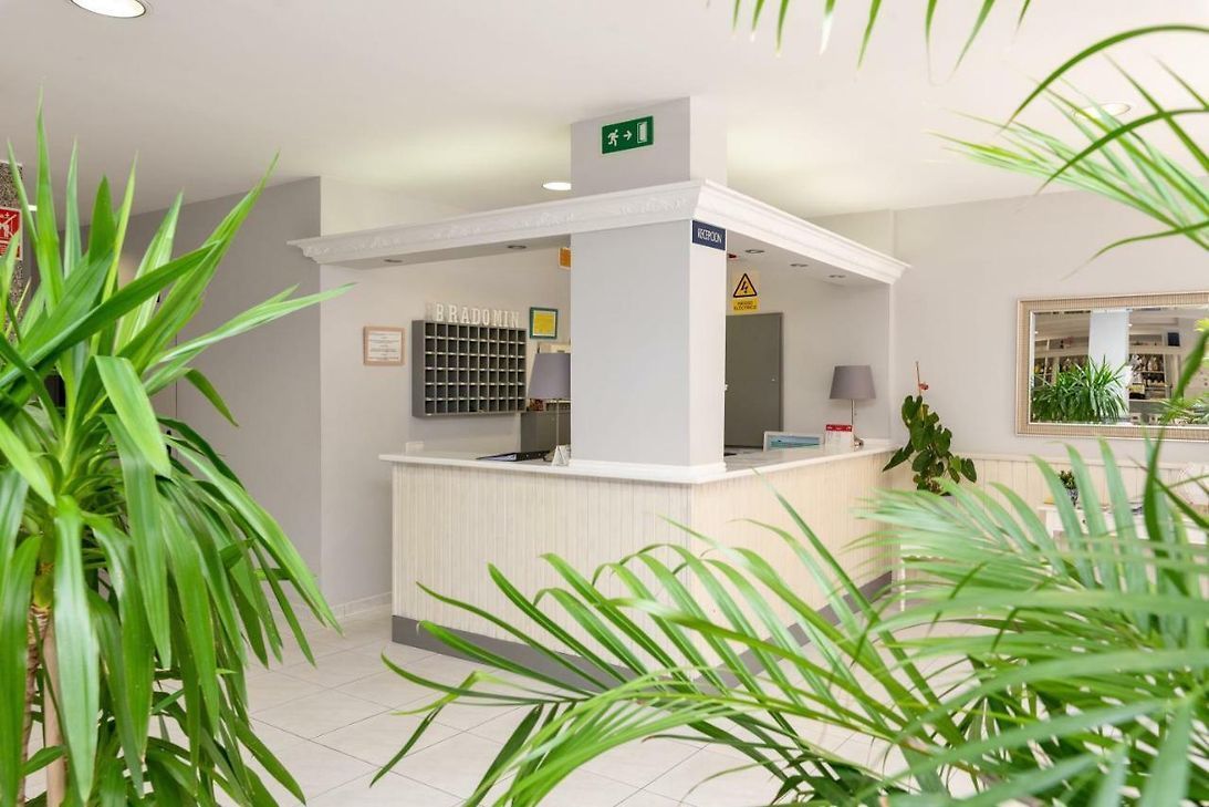 A reception desk inside a bright lobby with green plants framing the view, featuring wall-mounted pigeonholes for keys.