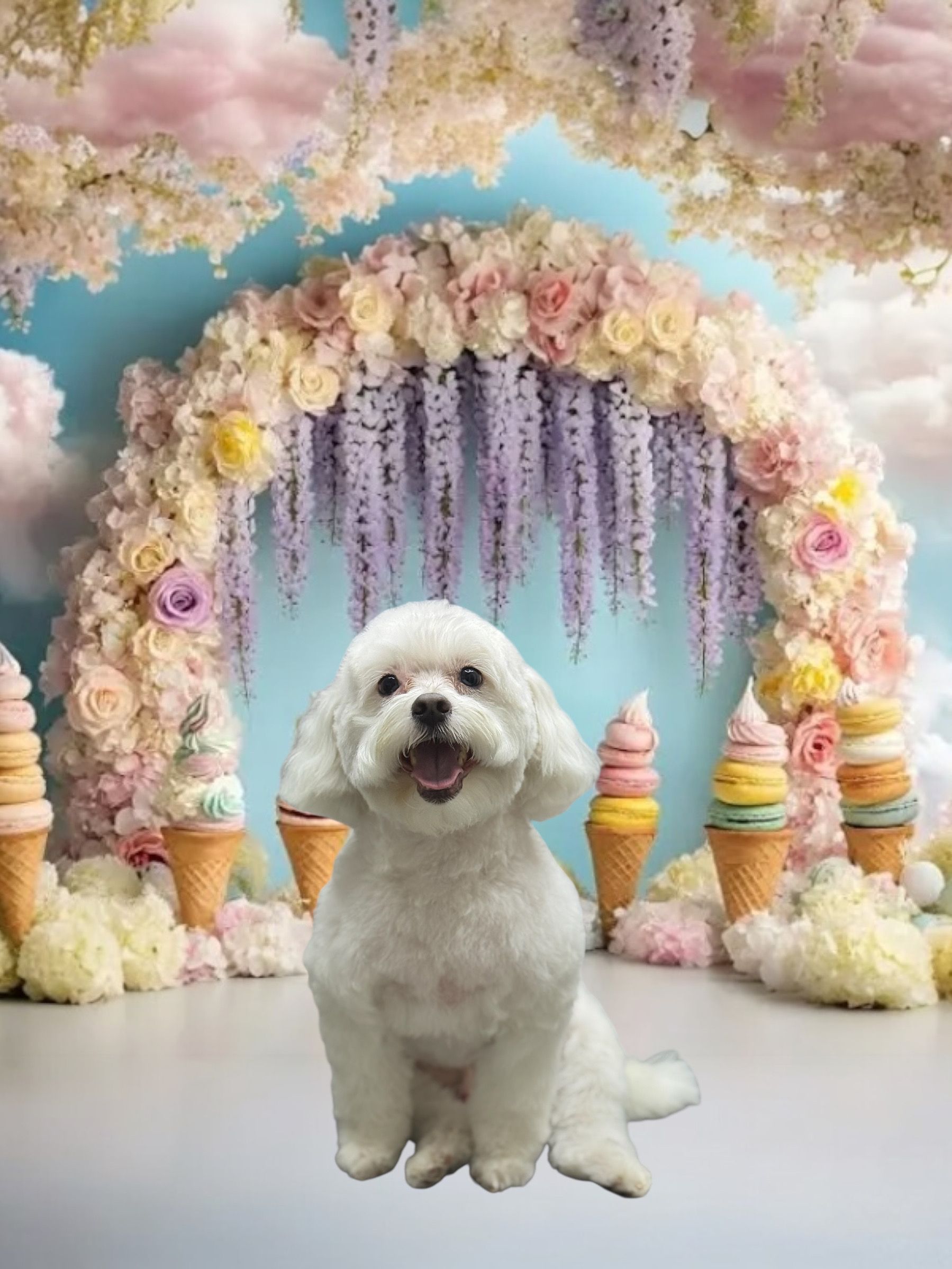 A fluffy white dog sits happily in front of an arch of pastel flowers and ice cream cone decorations against a blue sky.
