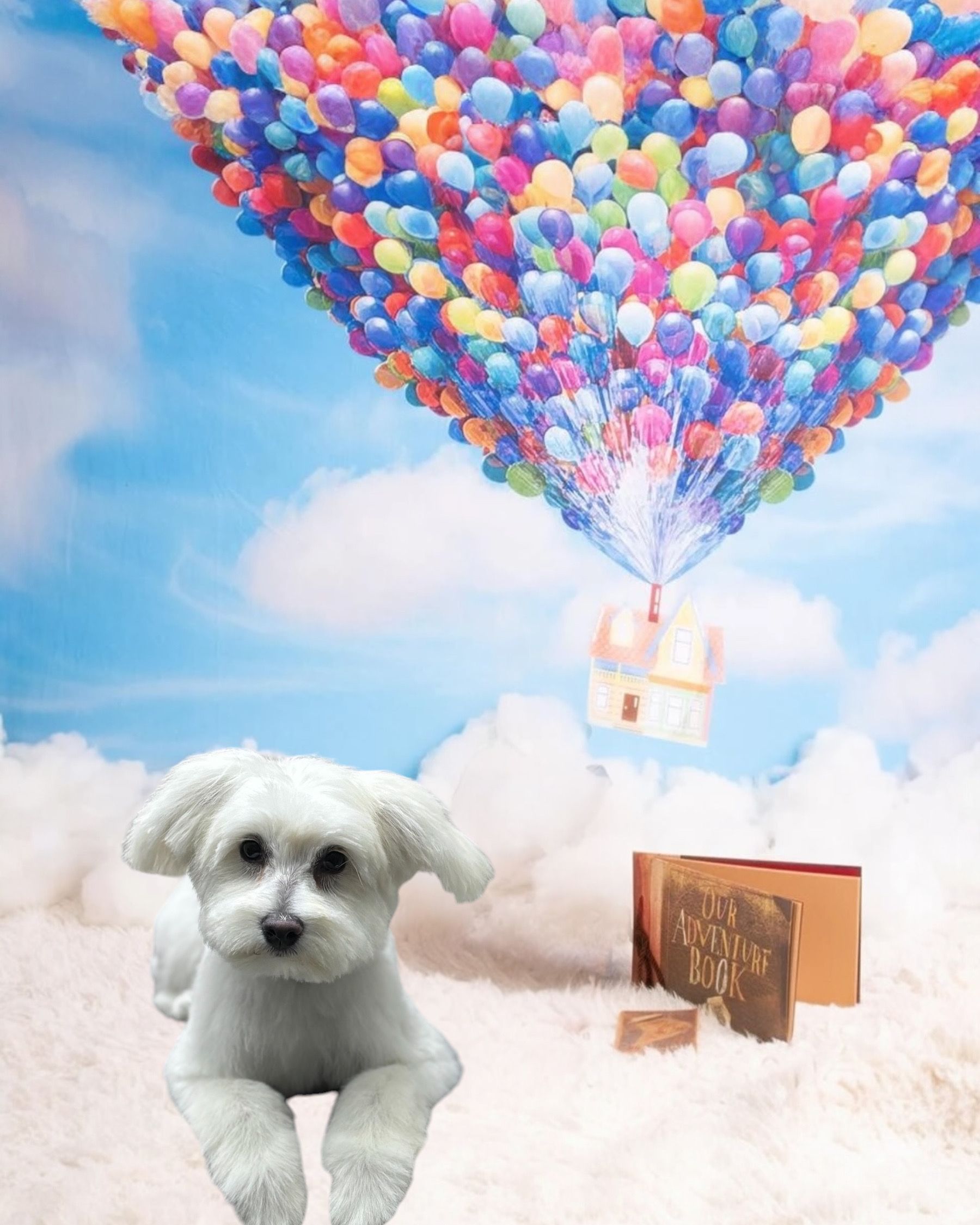 A small white dog rests on a soft, cloud-like surface beneath a house floating in the sky supported by colorful balloons.
