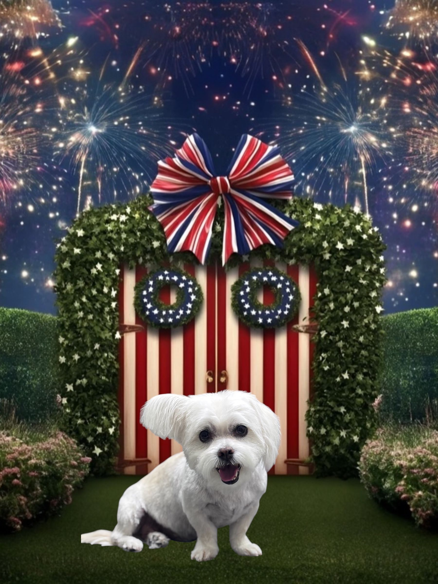 A small white dog sits on grass before a red-and-white striped door decorated with greenery and a patriotic bow.