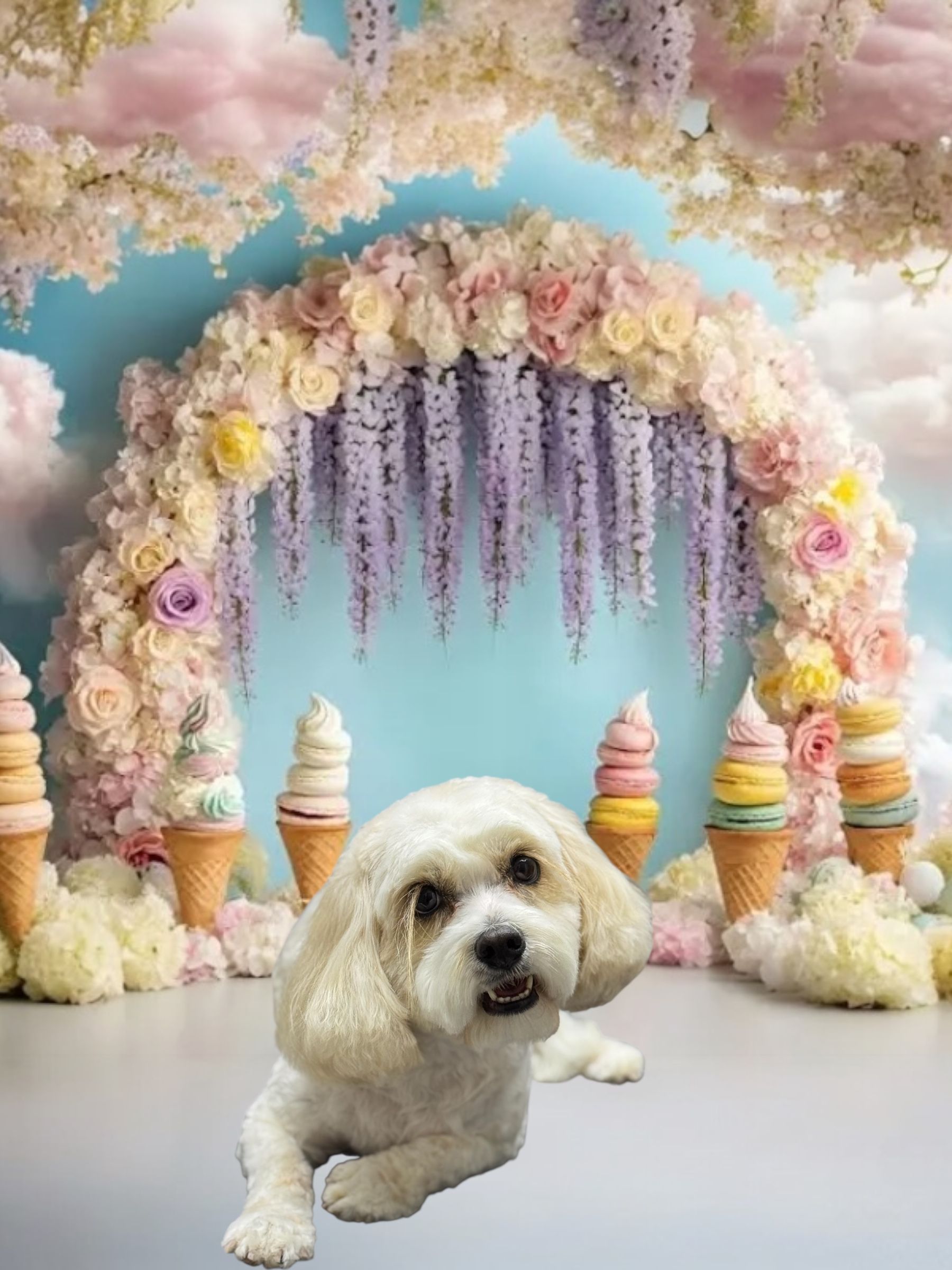 A cream-colored dog lies in front of a whimsical arch of pastel flowers and ice cream cones against a blue sky background.