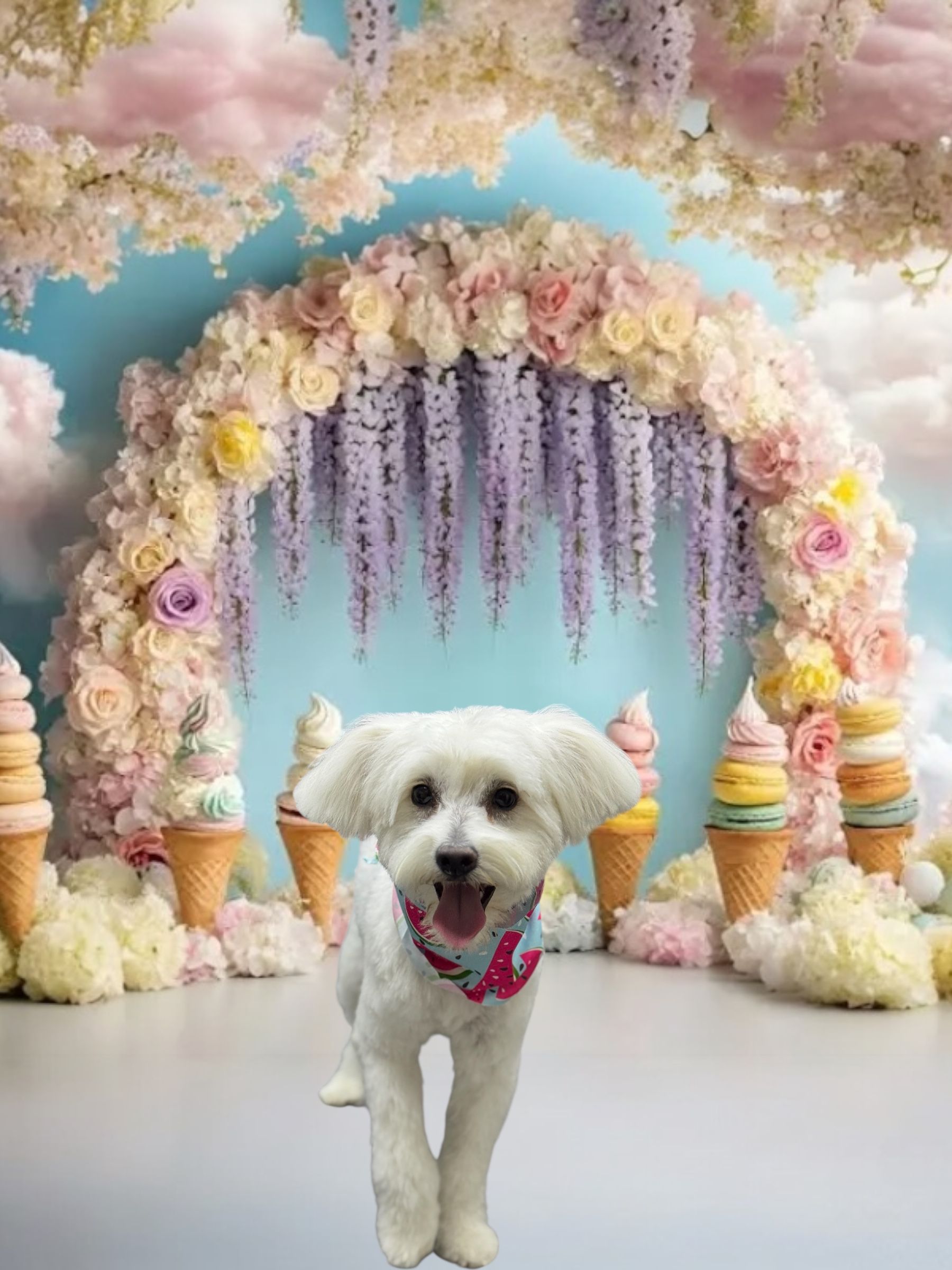 A white dog wearing a patterned bandana stands in front of a floral archway decorated with hanging flowers and ice cream.
