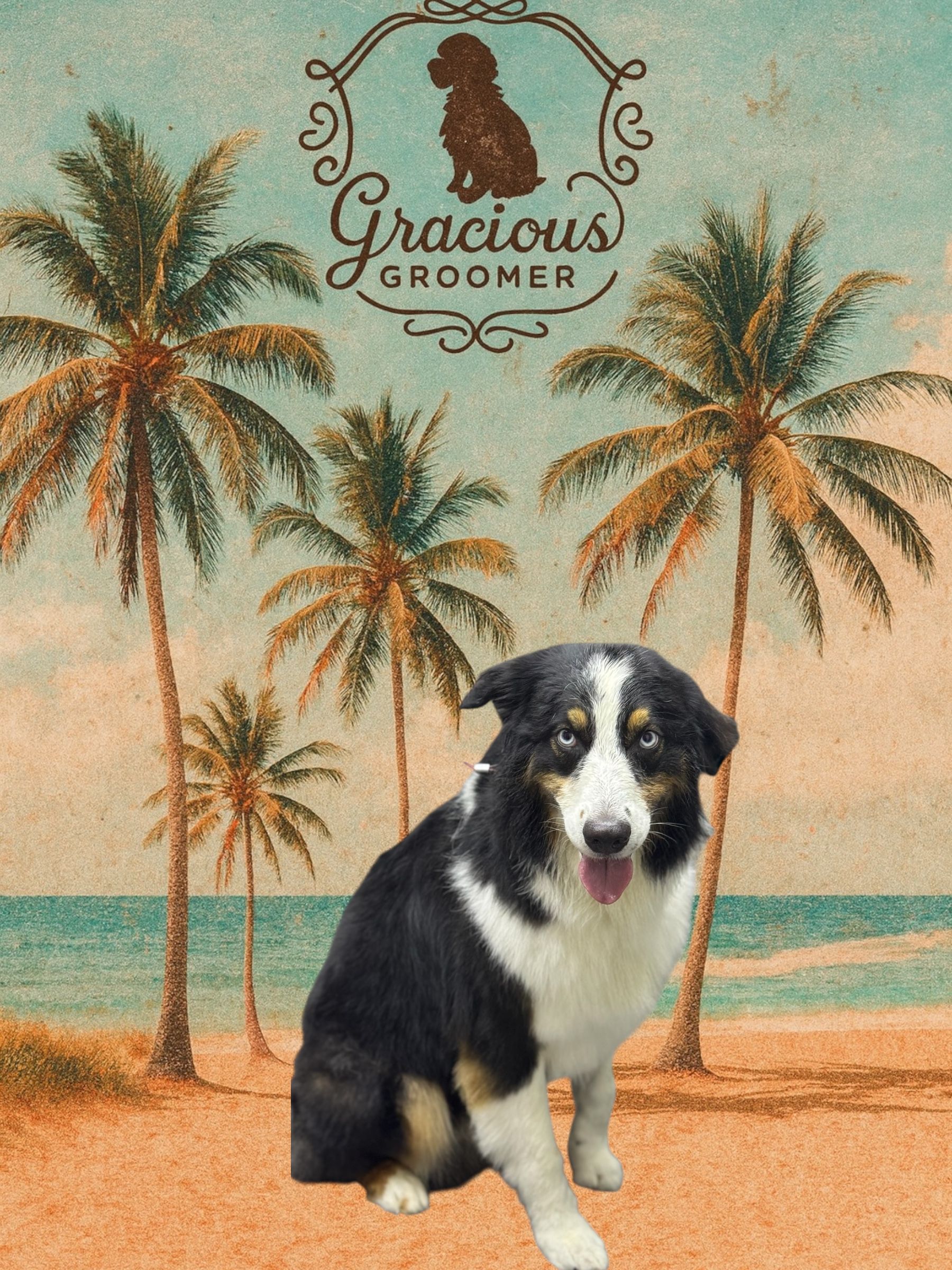 A tricolor dog sits on a sandy beach under palm trees, with a 