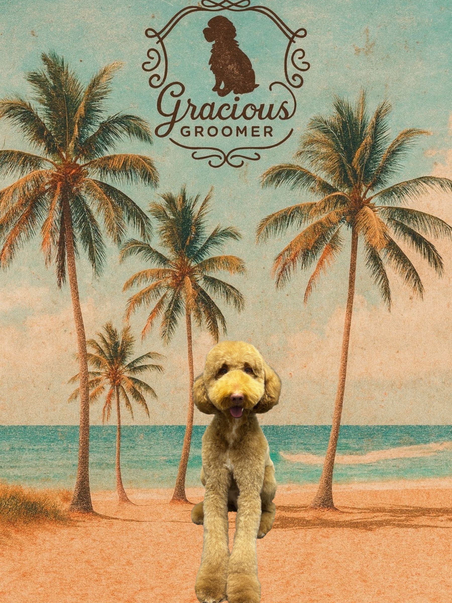 A groomed, light-colored poodle stands on a beach with palm trees under the Gracious Groomer logo.