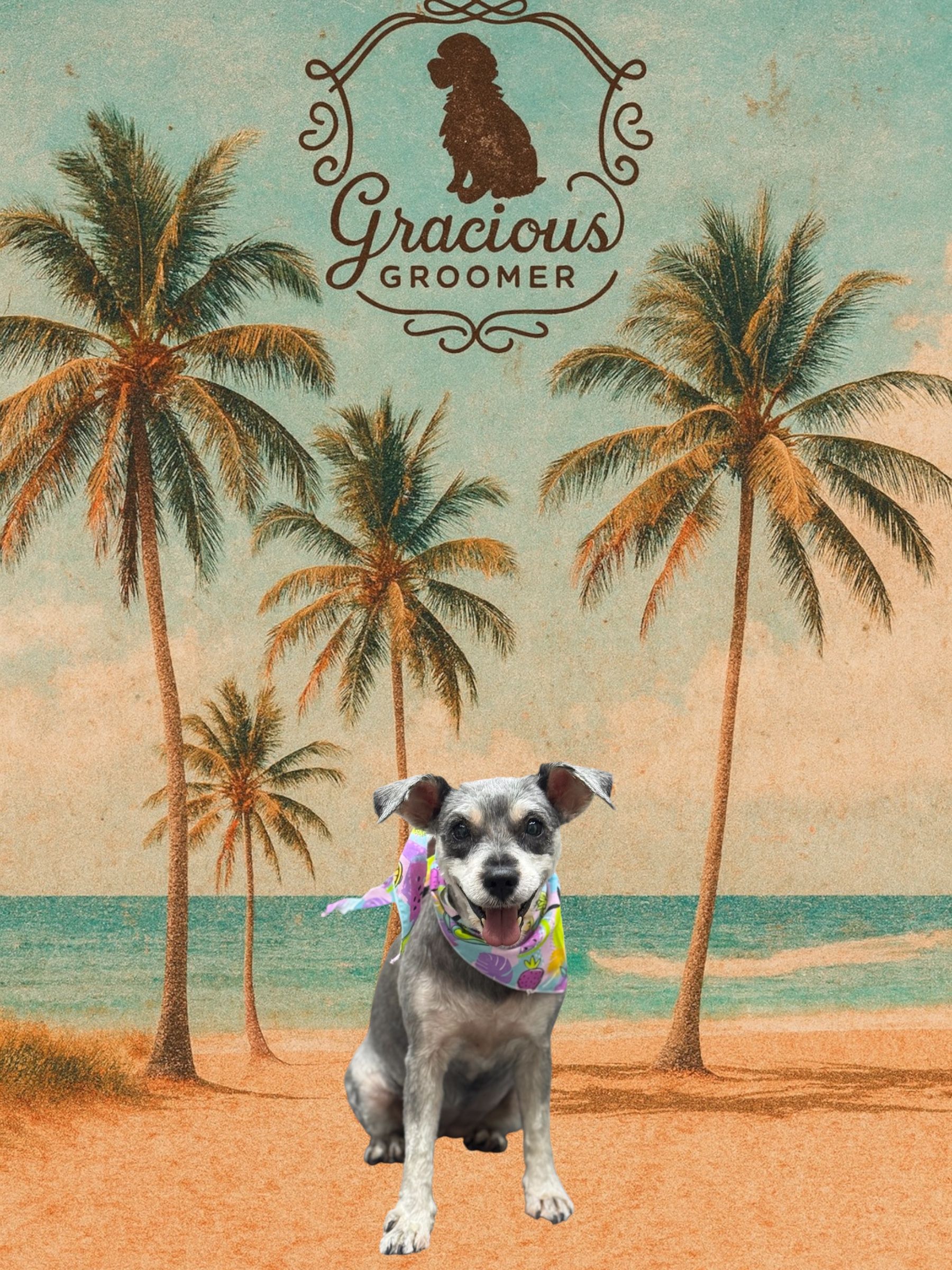 A happy dog with a colorful bandana sits on a sandy beach with palm trees, under a Gracious Groomer logo.