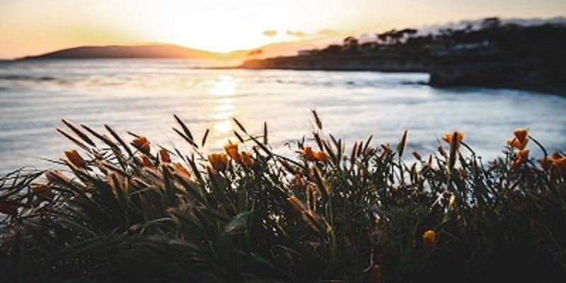 cremation service in Evanston, IL