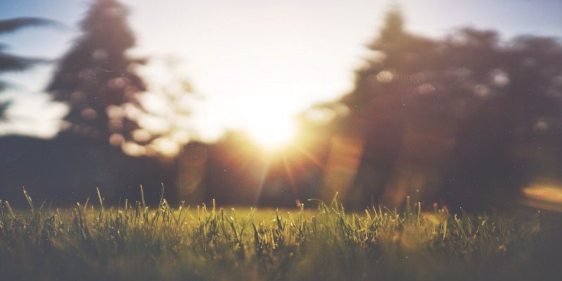 cremation service in Evanston IL