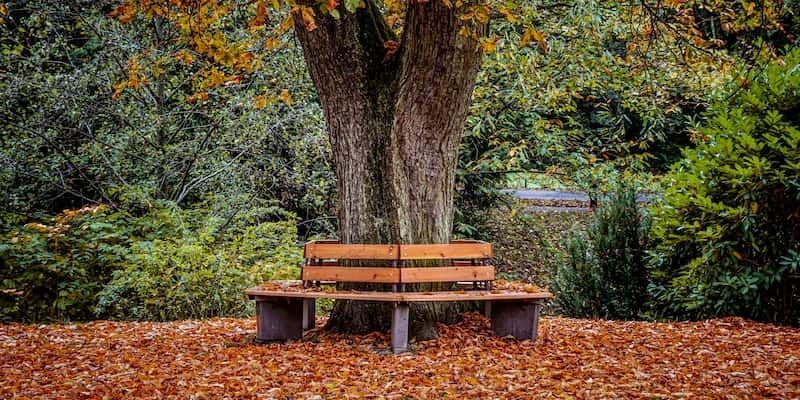 cremation service in Evanston, IL