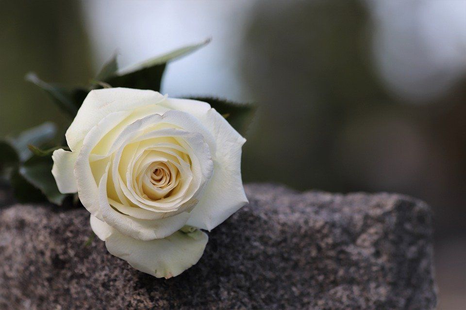 cremation services in Chicago, IL