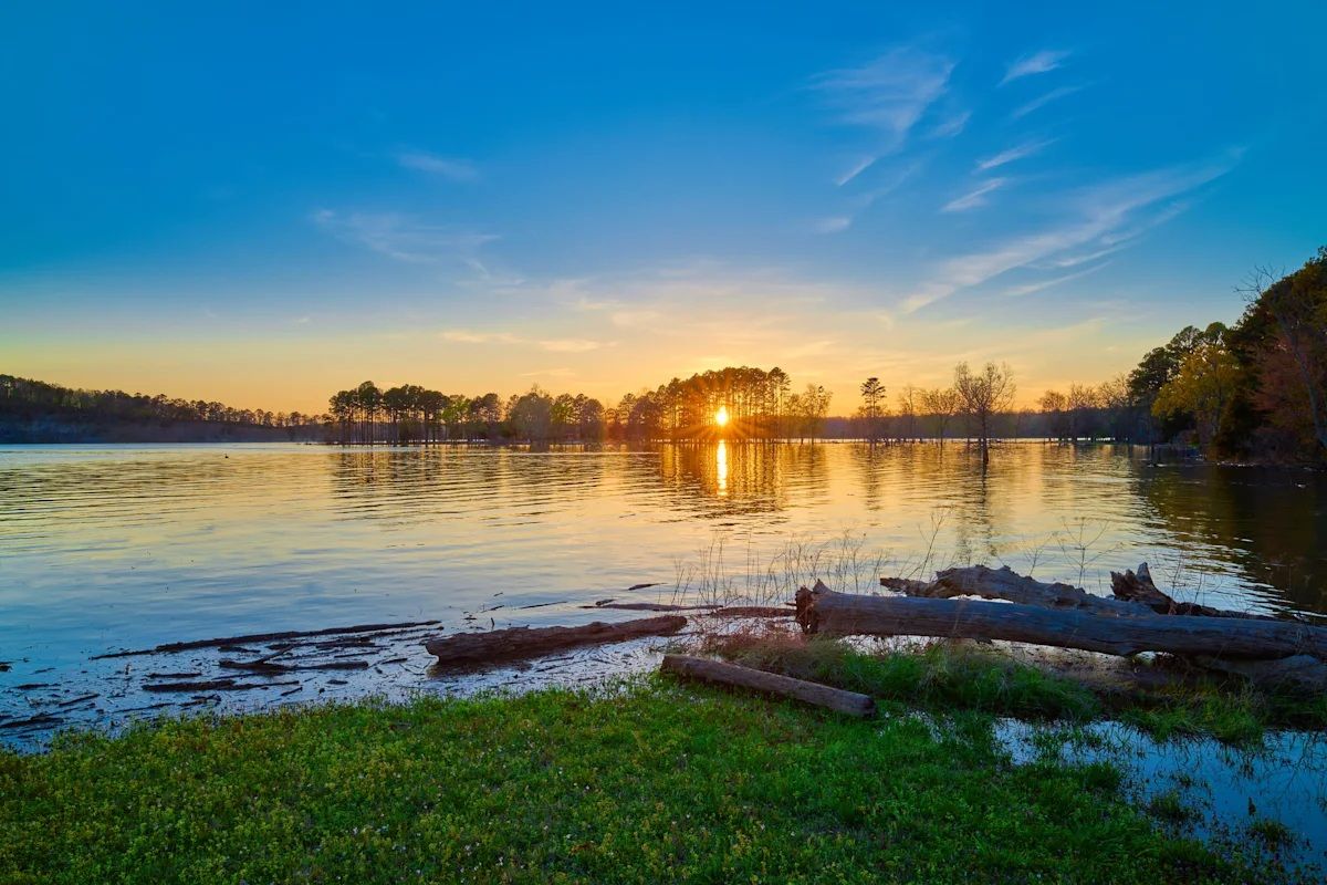 Sunset over a calm lake, with trees on the horizon and logs on the grassy shore; blue and orange hues.