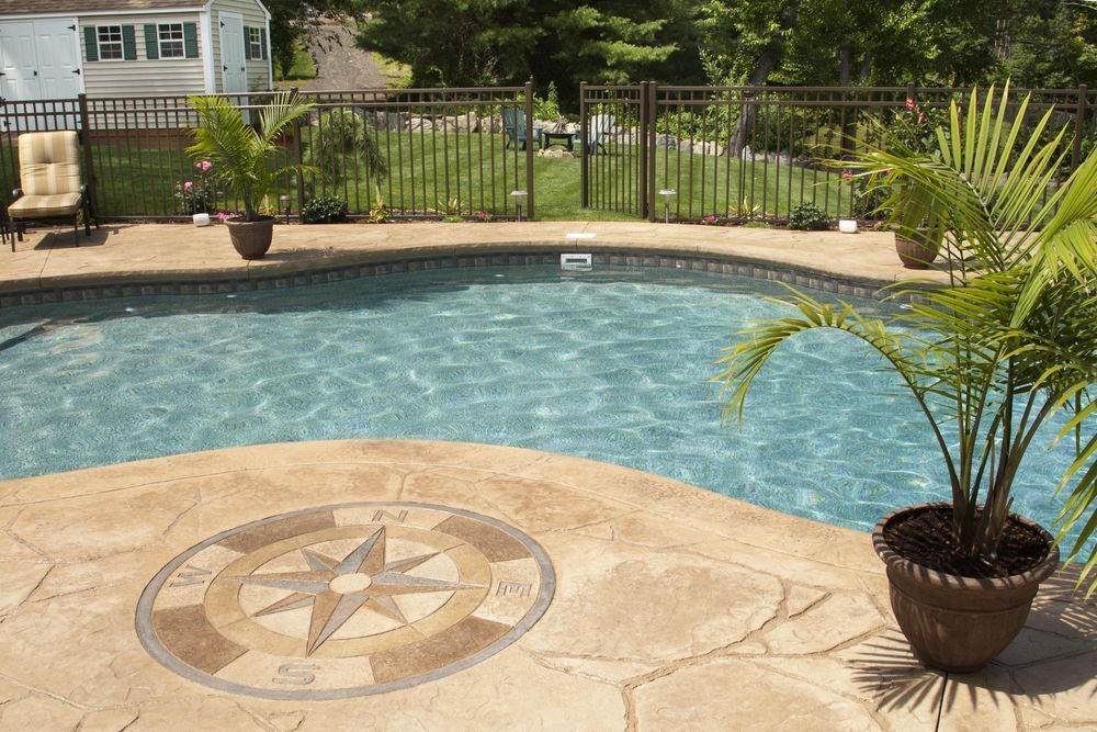 A Swimming Pool With a Potted Plant in Front of It — Green Thumb Landscapes In Coffs Harbour, NSW