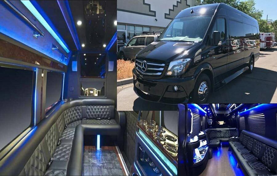 sprinter van exterior and interior