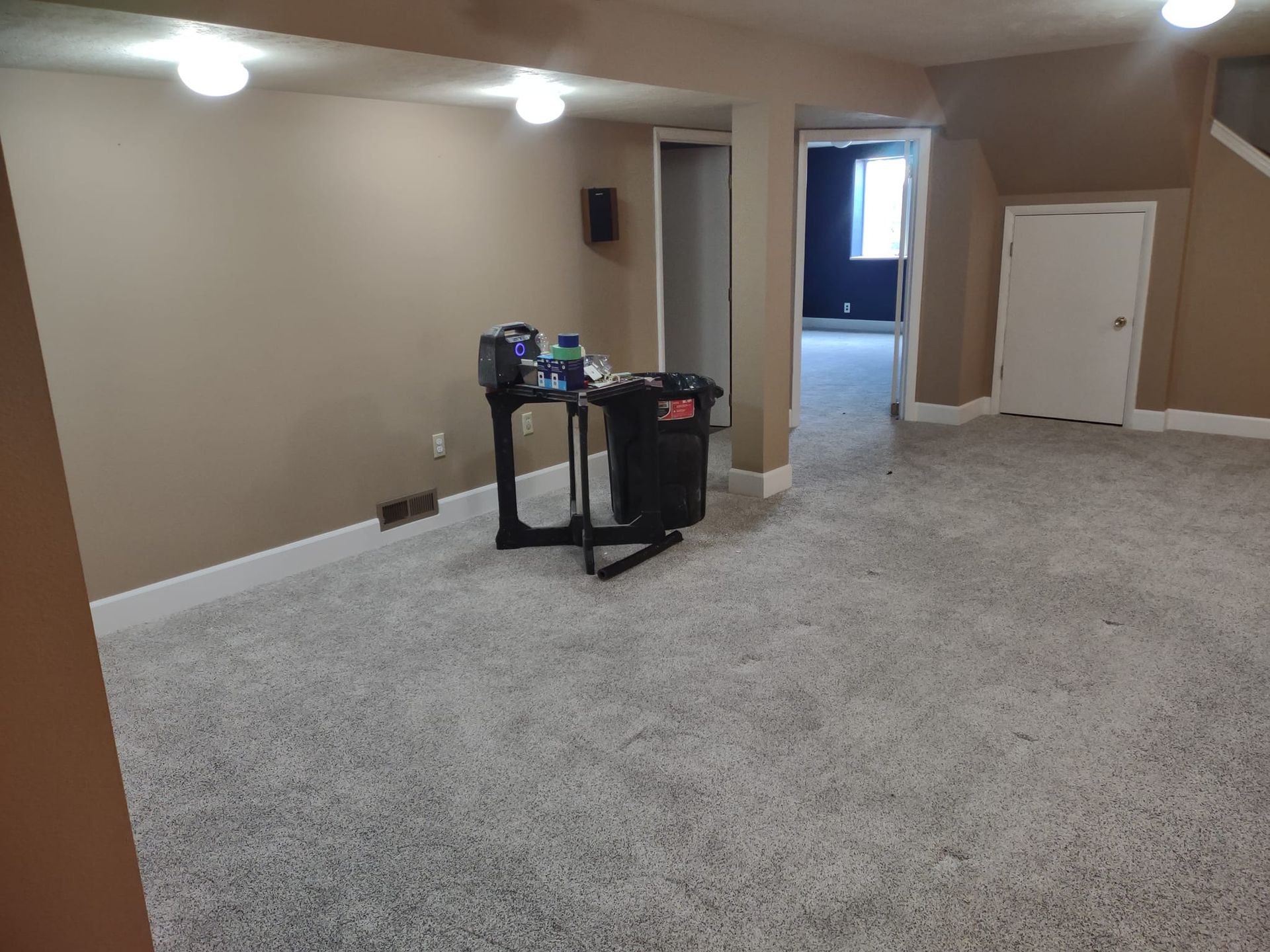 Basement room with light gray carpet, beige walls, white trim, and black trash can.