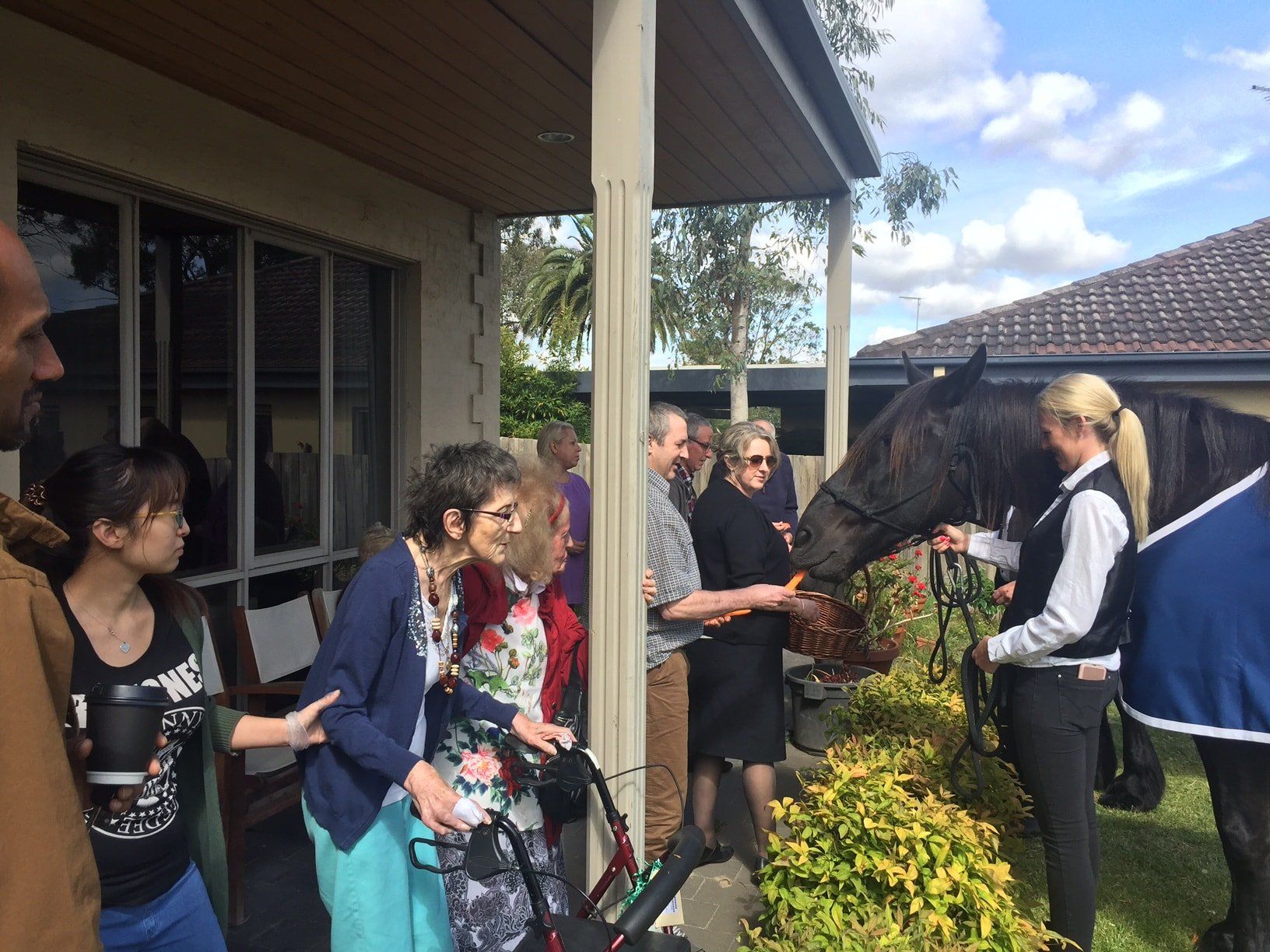 Kilara House | NDIS Aged Care  Diamond Creek  | Horse Therapy