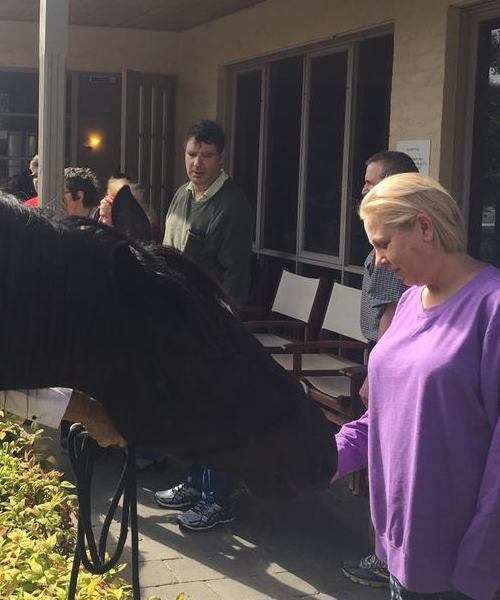 Kilara House | NDIS Aged Care & Accommodation Diamond Creek | Gallery - Horse Therapy