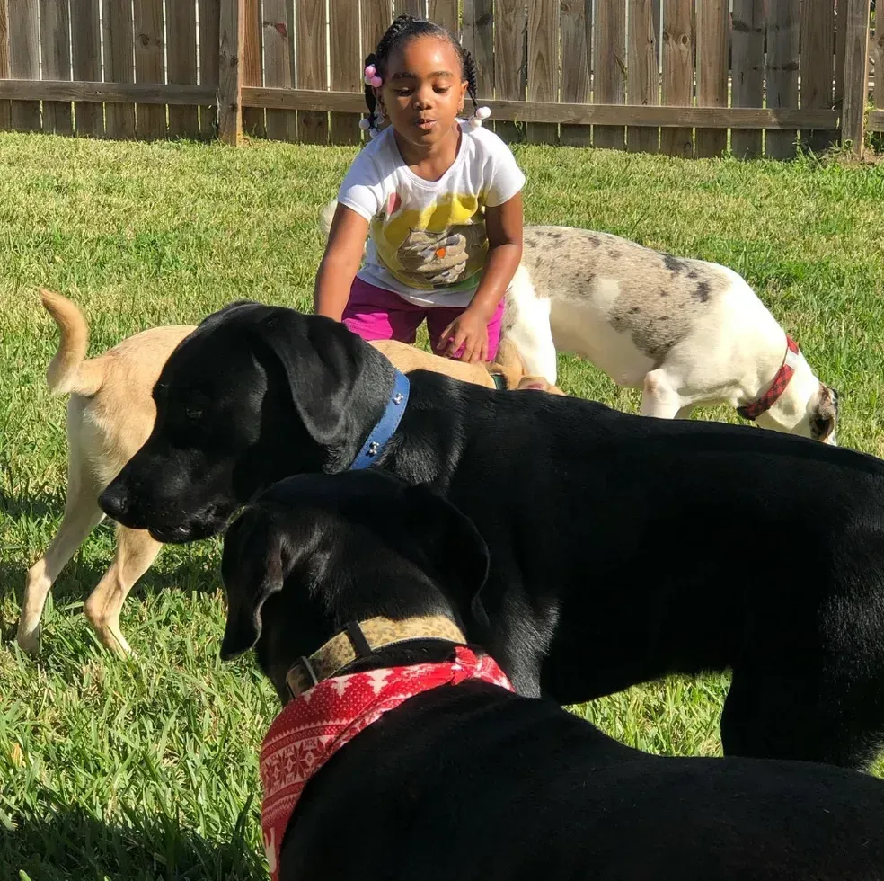 A woman is petting a small black and white dog in a kennel.