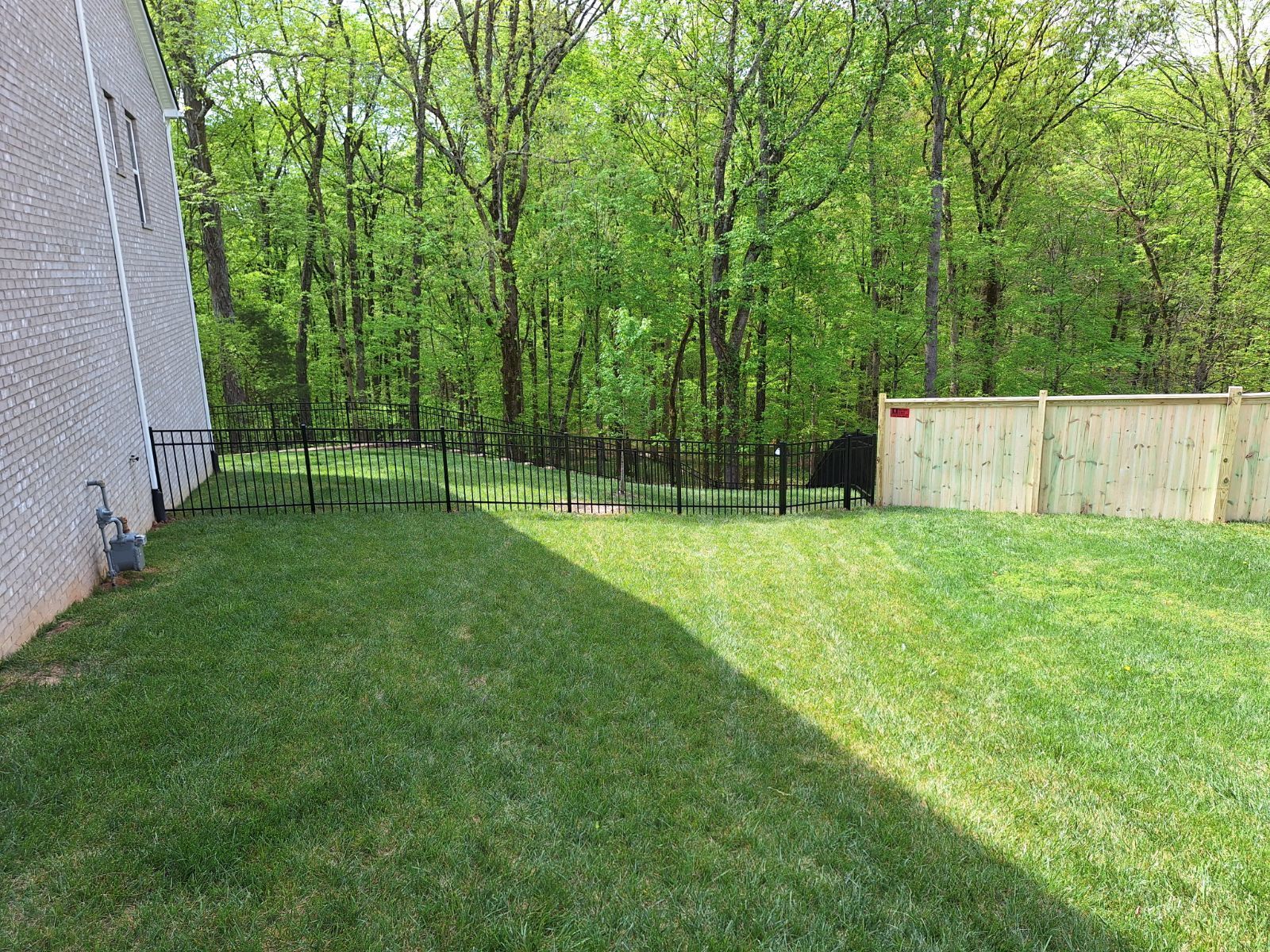A backyard with a fence and trees in the background. Clarksville, TN
