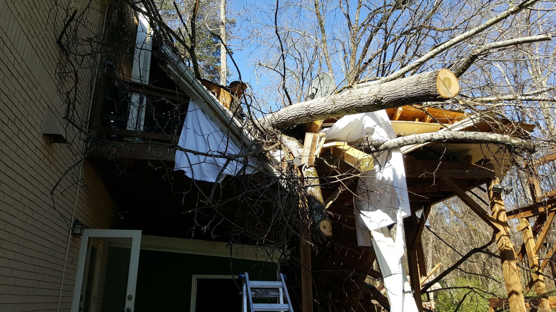 24/7 Emergency tree removal services in North East Georgia. Buford, Alpharetta, Duluth, Cumming, Atlanta, Dunwoody.