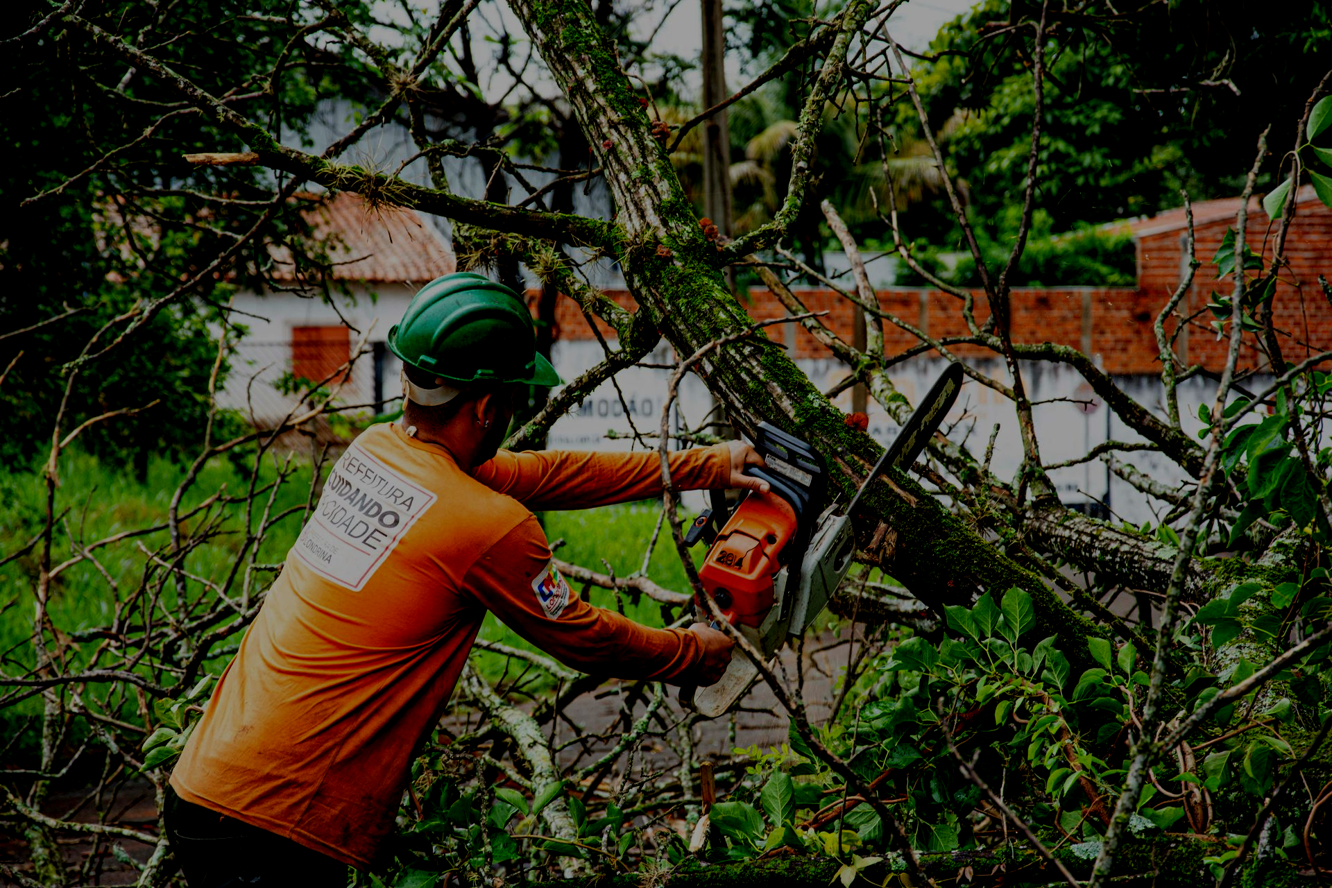 Arborist in orange shirt, green helmet uses a chainsaw to cut a tree branch outdoors.