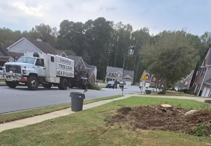 Stump grinding services and tree removal services.