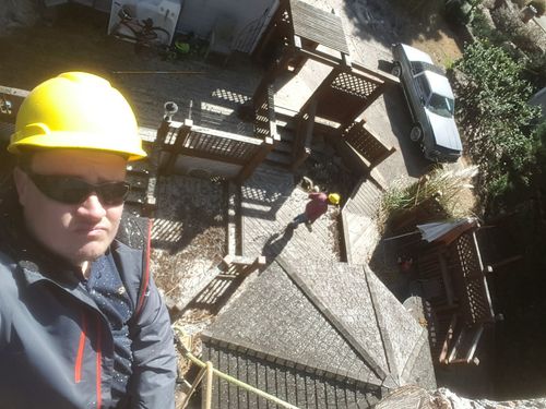 Sharper Edge Tree Care. Tree removal and Tree trimming services in North East Georgia. Buford, Alpharetta, Duluth, Cumming, Atlanta, Dunwoody.