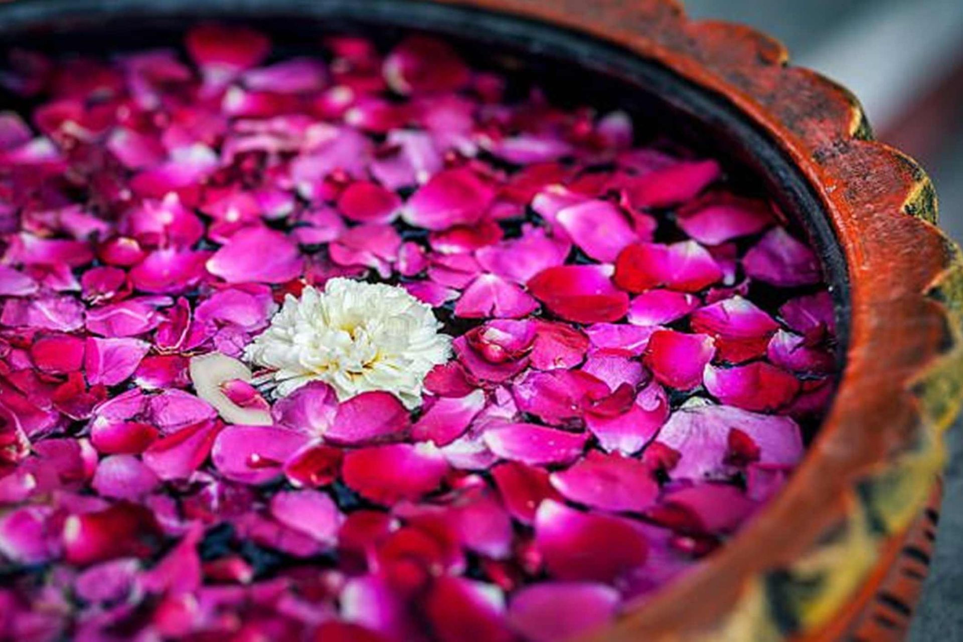 Warm Roses Couples Massage — Orlando, FL — Lotus Blossom Spa