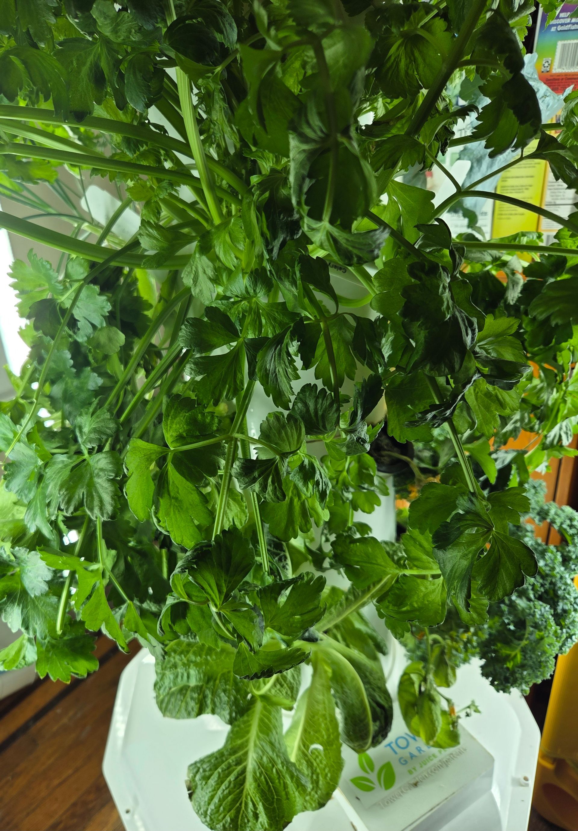 The other side of the storm : stories by everyday women experiences compiled by visionary diana c. hill