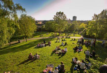 A group of people are having a picnic in a park.
