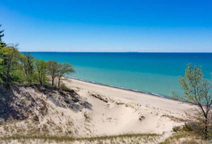 A view of a sandy beach with trees and a large body of water.