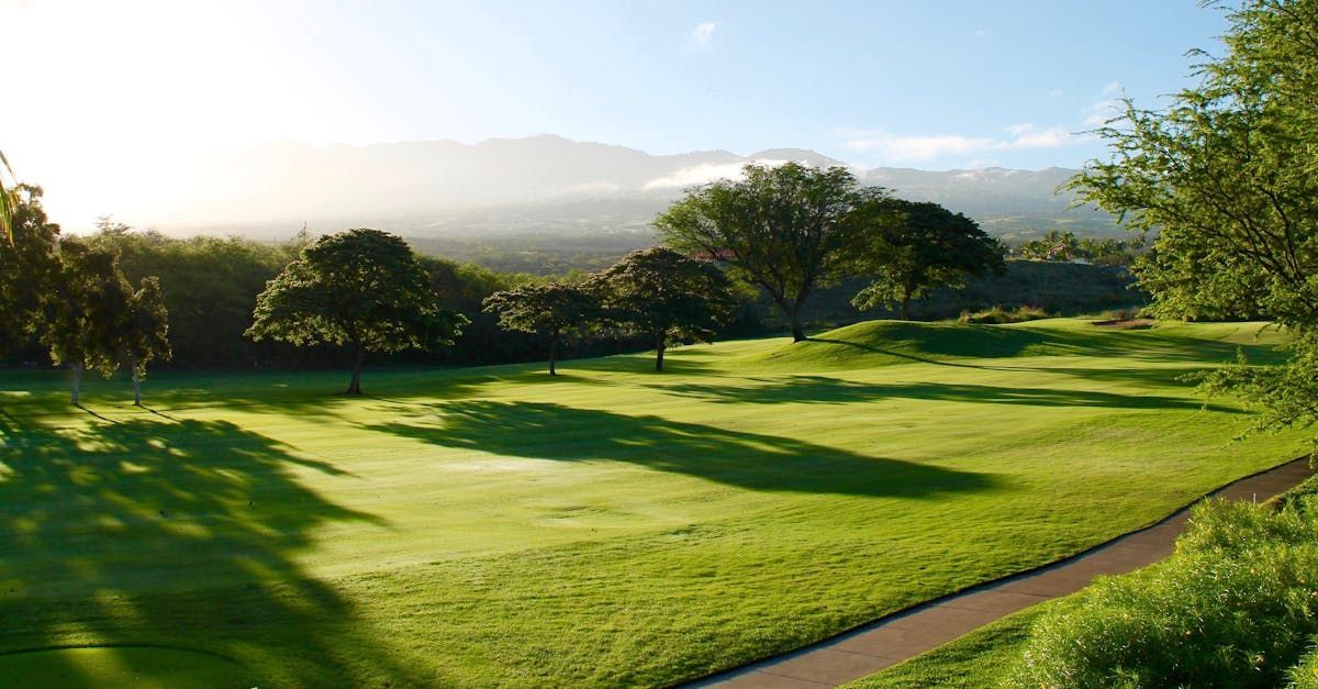 A golf course with trees and mountains in the background