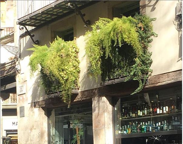 Foto a Barcelona per Alejandra Coll d'asilvestrada.com