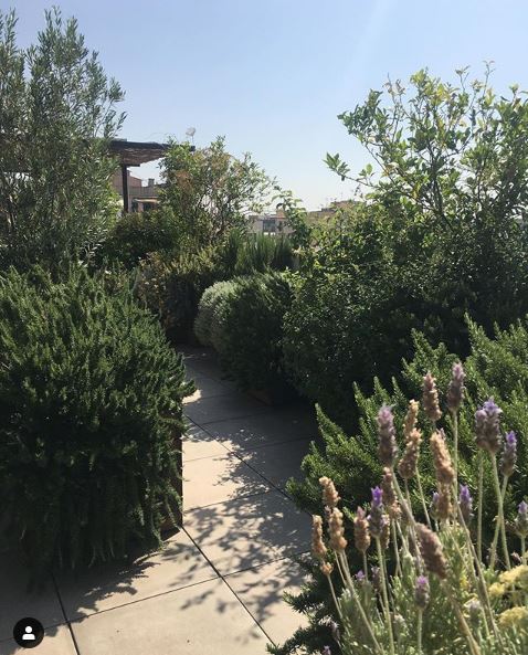 casabonay.com foto i ajardinament per Alejandra Coll d'asilvestrada.com