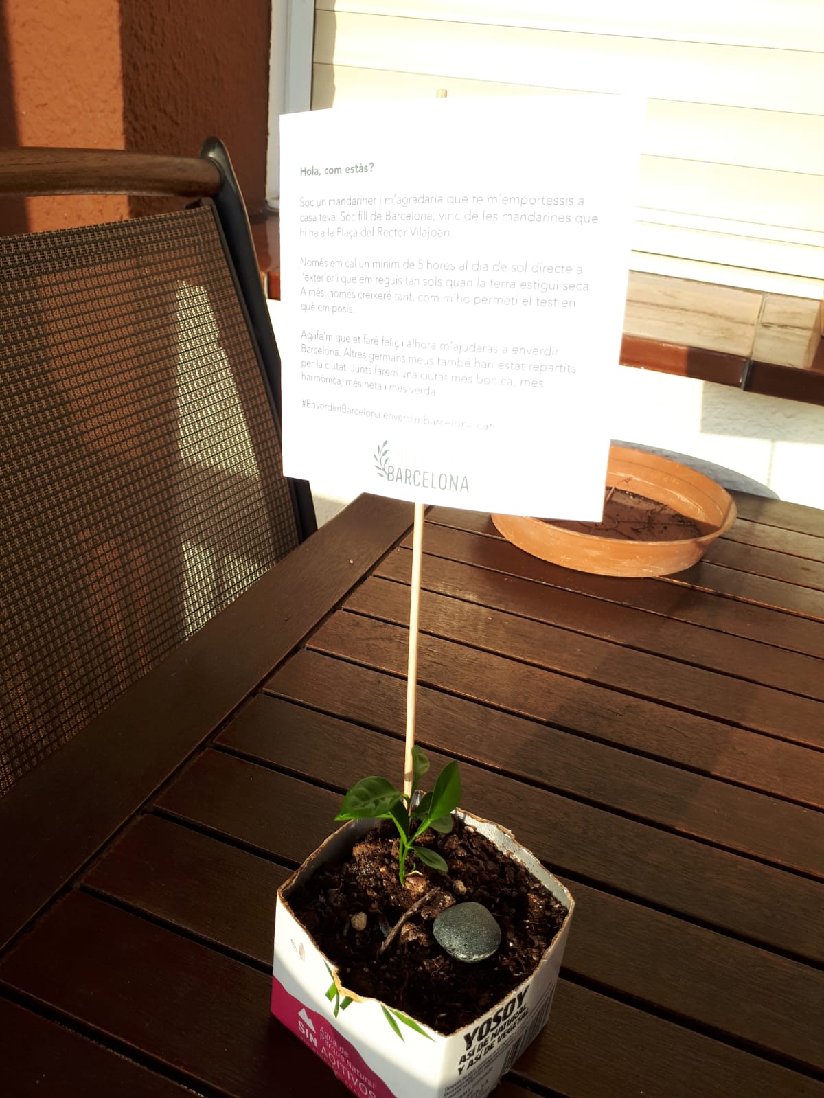 Provant a casa com quedava el disseny