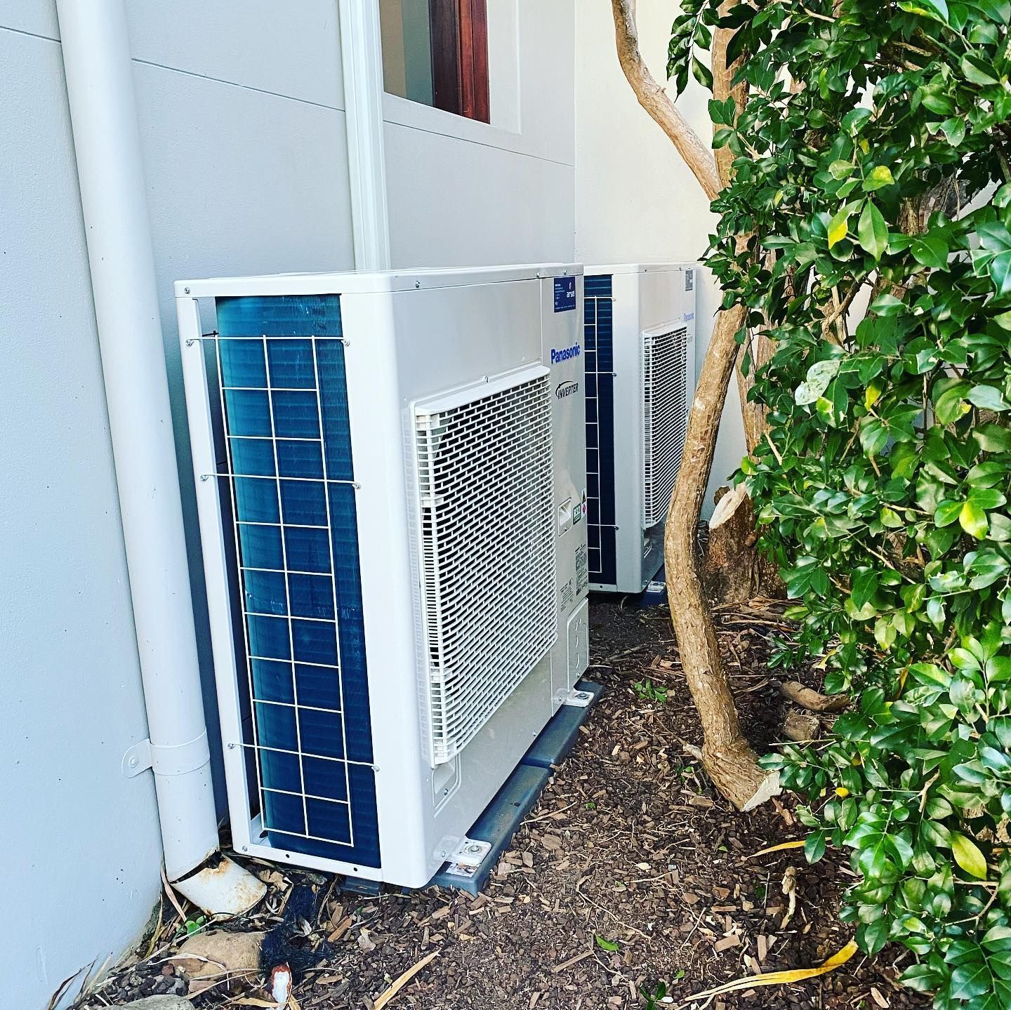 Outdoor air conditioning units beside a white wall, partially hidden by green vines and a tree trunk — Airset Air Conditioning in Macksville, NSW