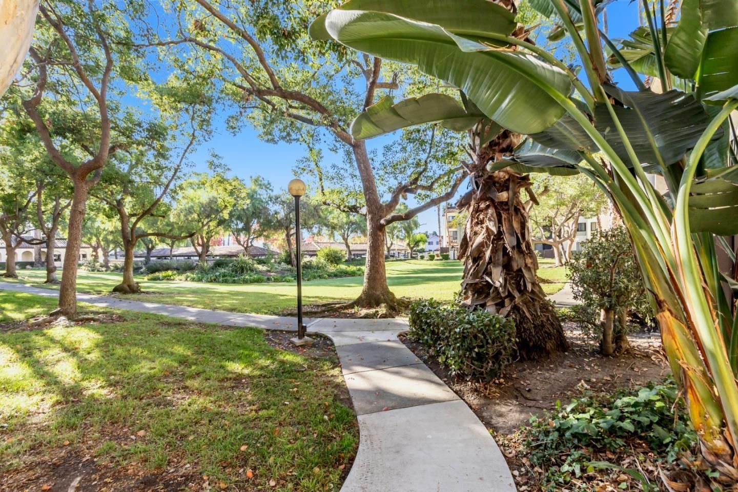 A concrete walkway leading to a park surrounded by trees and grass.