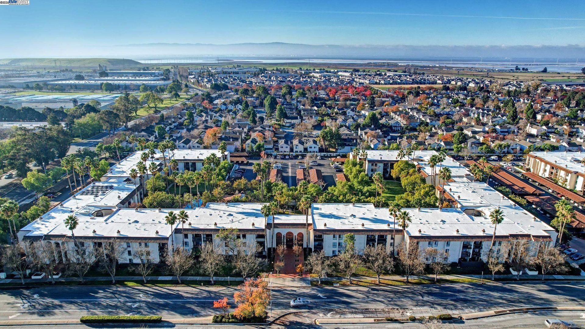 39483 Cedar Blvd, #320
