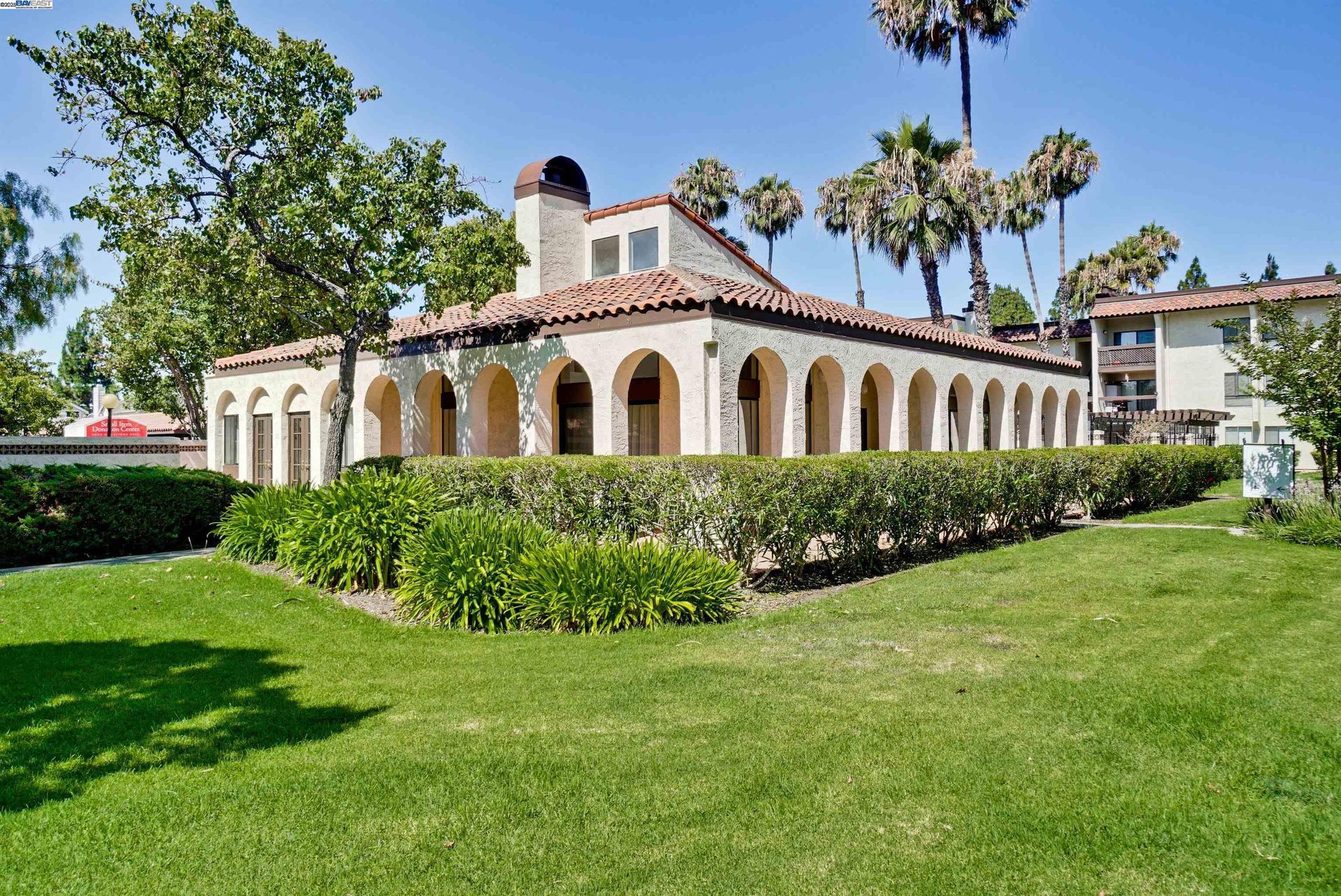 A large white building with arches and palm trees in the background